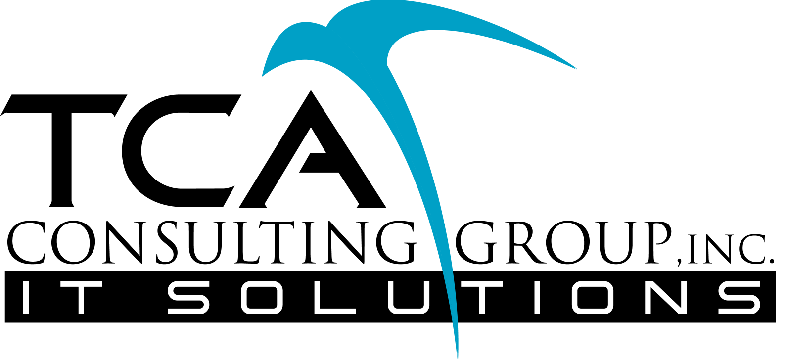 TCA Consulting Group Inc